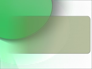测试管理