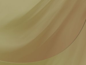注册中心